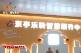 中宣部采访团到访武汉东亭社区18新利LUCK智慧保养中心